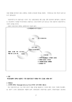 [경영혁신전략] 안철수 연구소 - 조직문화를 중심으로-17