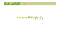[마케팅] 풀무원 Pulmuone 마케팅전략 분석-1