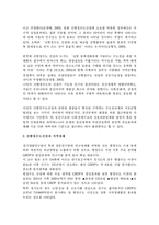 신 행정 수도 건설의 파급효과와 신행정수도의 역할 및 기능-2