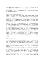 신 행정 수도 건설의 파급효과와 신행정수도의 역할 및 기능-4