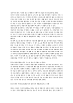 신 행정 수도 건설의 파급효과와 신행정수도의 역할 및 기능-5