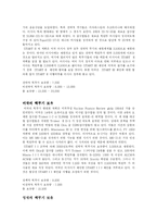 (NPT) 핵무기에 대한 이해와 보유실태 및 핵무기 확산 보호를 위한 방안(NPT)-11