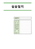 사회복지사현 노인전문 요양원 현장실습일지-3