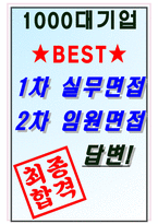 LG에너지솔루션 면접기출(최신)+꿀팁[최종합격!] +1000대기업 1차 직무면접 + 2차 임원면접 최종합격자 답안-8