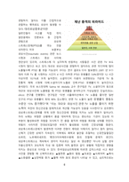 이태원 압사사고 원인과 해결방안-8