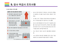 핼로윈 축제, 이태원 압사사고 원인과 향후 대책 [이태원,핼로윈,지역축제,압사사고,다중밀집,이태원 참사]-20