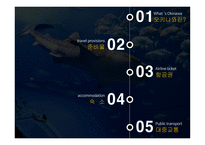 오키나와 여행계획서ppt (관광/여행)-2