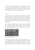 미술의 이해와 감상 교재 및 강의 12장(모던 아트의 전개) 교재 및 강의 14장(포스트모더니즘과 미술)-5