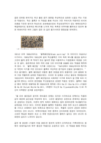 미술의이해와감상 교재 및 강의 12장(모던 아트의 전개) 교재 및 강의 14장(포스트모더니즘과 미술)-7