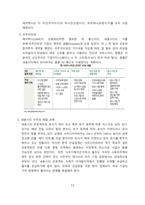 네옴시티 프로젝트가 국내외 경제에 미치는 영향 [네옴시티,중동,사우디,오일머니,빈살만,옥사곤]-11