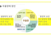 [A+사진첨부] [정신간호학실습] 주간재활프로그램 교육안 PPT (우울장애, 우울증)-9