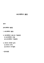 WTO체제의 출범-1