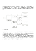 국제수지표의 기재와 구성-8