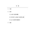 노인복지론_우리나라 노인들의 성문제에 대해 예를 들어 설명하고 해결방안을 제시하시오-2