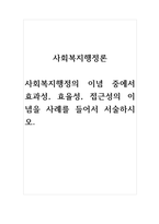 2021년 사회복지행정론-사회복지행정의 이념 중에서 효과성, 효율성, 접근성의 이념을 사례를 들어서 서술하시오-1