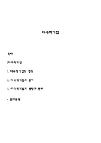 다국적기업-1