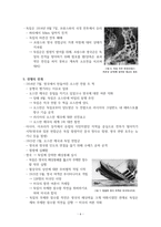 세계 1차 대전에 대한 정리-6