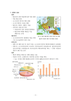 세계 1차 대전에 대한 정리-9