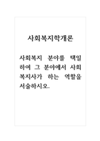 사회복지학개론_사회복지 분야를 택일-1