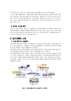 [소비자행동론] 웅진코웨이 소비자 구매행동과정에 따른 마케팅 전략-4