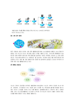 [소비자행동론] 웅진코웨이 소비자 구매행동과정에 따른 마케팅 전략-17