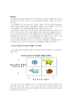 [기업] 마이크로소프트사 MicroSoFt의 현재와 미래-17