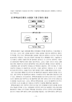 팬택&큐리텔의 조직문화 분석 - 역동성을 중심으로 한 조직문화 통합-13