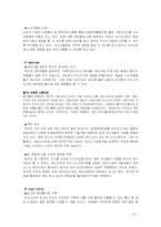 [인터넷기업경영] 온라인게임 `넥슨` 경영전략-13
