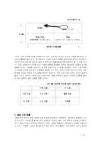 [인터넷기업경영] 온라인게임 `넥슨` 경영전략-20