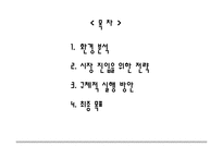 [국제마케팅] 노래방 질러존 중국진출전략-2