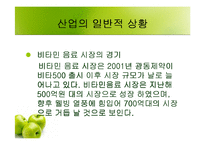 [마케팅] 비타민음료 비타천(비타1000) 마케팅분석-11