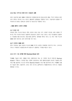 [마케팅조사론] DMB의 사업모델 조사와 문제점, 향후전망-12