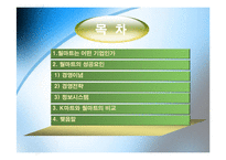 월마트 성공사례분석-2