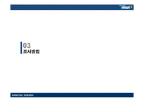 [마케팅조사계획서] 네이트온의 메신저 시장침투에 효과적으로 대응하기 위한 MSN의 전략 수립-10
