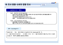 [마케팅조사계획서] 네이트온의 메신저 시장침투에 효과적으로 대응하기 위한 MSN의 전략 수립-17