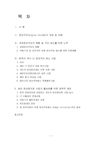 [행정전산] 한국정부의 국가간 정보격차(Digital divide) 해소 지원정책-2