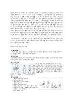 웰빙에 대하여 레포트-8