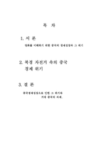 영화 북경자전거 속 중국경제의 위기-2