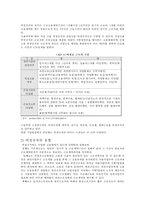 (노동복지) 비정규직 근로자의 실태와 문제점 및 사회복지적/법적 해결방안-3