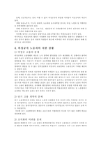 (노동복지) 비정규직 근로자의 실태와 문제점 및 사회복지적/법적 해결방안-7
