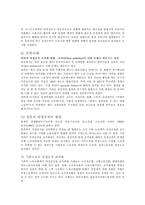 (노동복지) 비정규직 근로자의 실태와 문제점 및 사회복지적/법적 해결방안-10