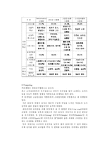 [광고홍보] 투싼(Tucson) 광고분석-7