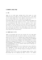 [경영전략] 대우조선해양 DSME 사례 개발-11