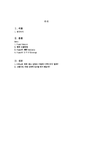 [국제 판매 촉진전략론] 세계 1위 mp3 아이팟 `I-POD`의 한국 진출에서의 난항-2