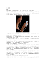 [국제 판매 촉진전략론] 세계 1위 mp3 아이팟 `I-POD`의 한국 진출에서의 난항-4