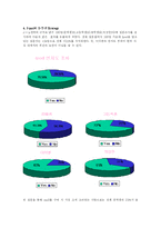 [국제 판매 촉진전략론] 세계 1위 mp3 아이팟 `I-POD`의 한국 진출에서의 난항-11