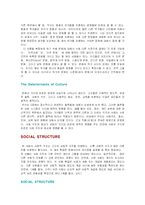 [국제경영] 문화의 차이-6
