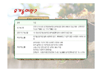 [사업계획서] 친환경식품전문점 유기농 인터넷쇼핑몰-5