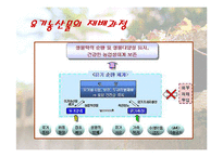 [사업계획서] 친환경식품전문점 유기농 인터넷쇼핑몰-6