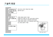 [국제경영] 유니더스 해외진출사례-7